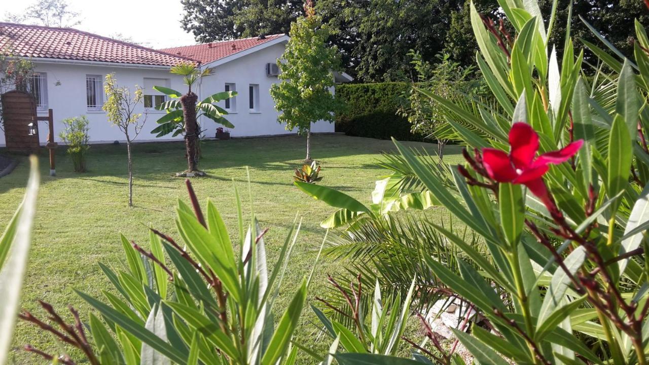 Gite & Chambres D'Hotes - Le Petit Bali Saint-Pandelon Eksteriør billede